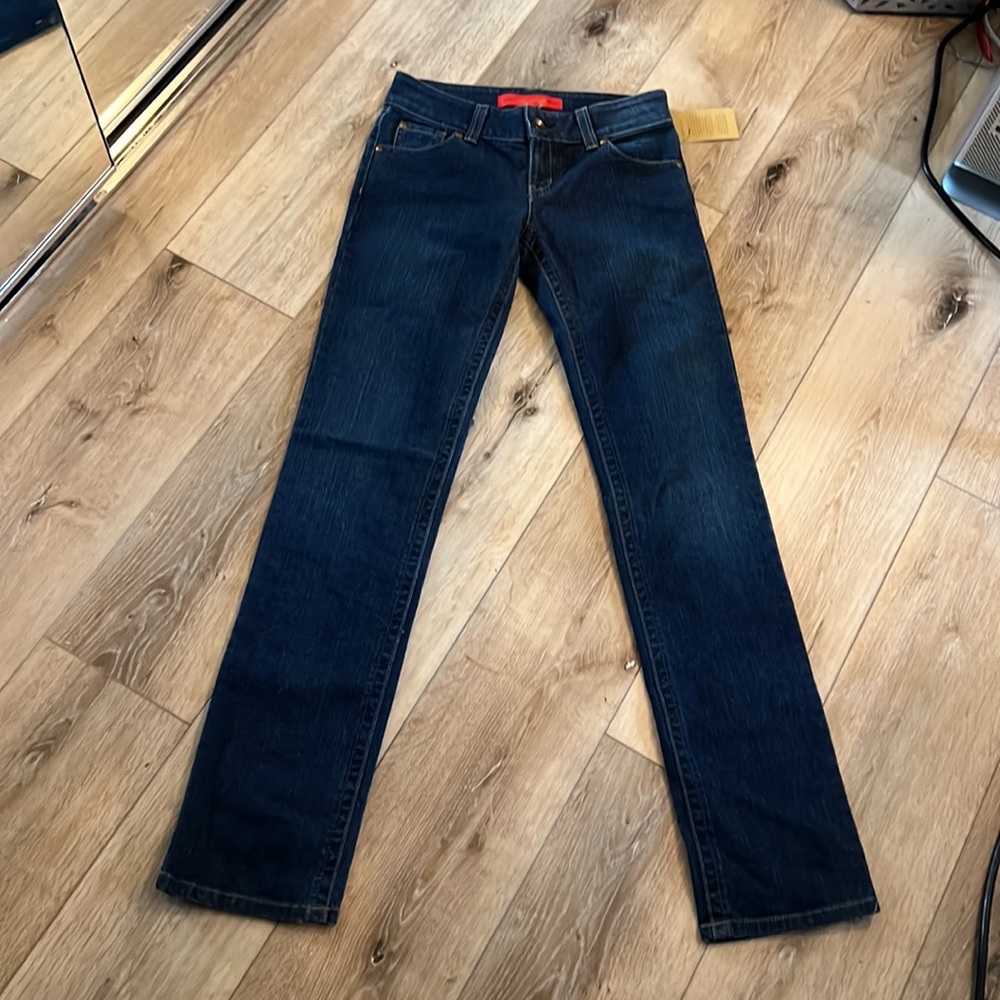 Level 99, from Anthropologie, blue jeans, size 24